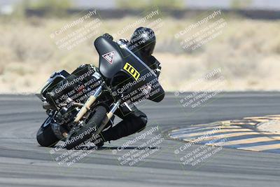 media/Apr-26-2025-BRL Bagger Racing League (Sat) [[9e270f465f]]/3-Super Street Baggers Qualifying/